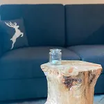 Alpenappartements Schwalbennestl 3*