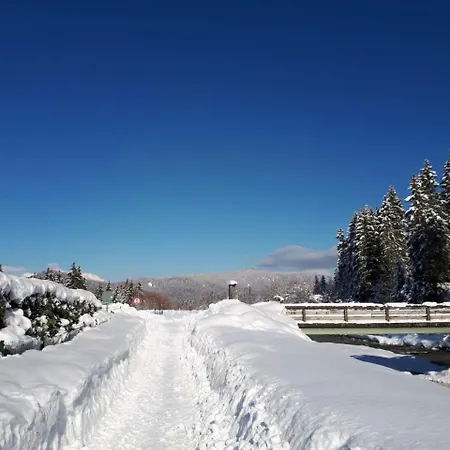 Гостевой дом Alpenappartements Schwalbennestl