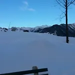 Schwalbennestl