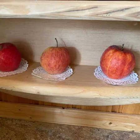 Alpenappartements Schwalbennestl Guest house 3*