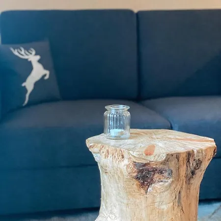 Alpenappartements Schwalbennestl 3*