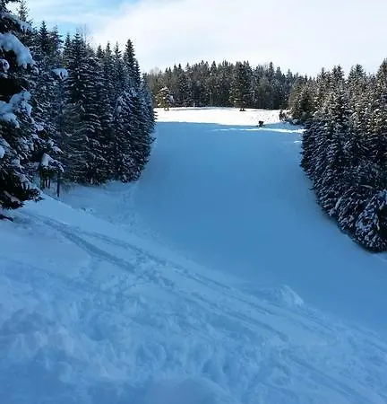Πανσιόν Alpenappartements Schwalbennestl