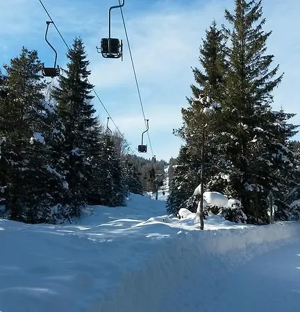 Alpenappartements Schwalbennestl Πανσιόν 4*