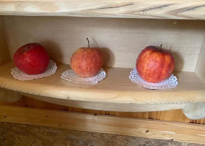 Alpenappartements Schwalbennestl Gæstehus 3*